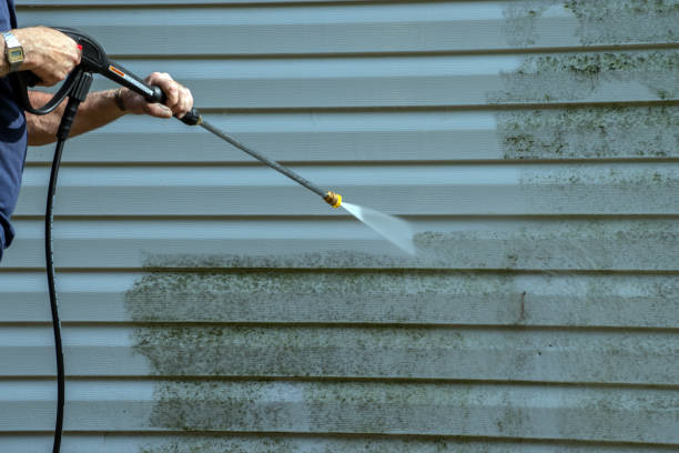 Best Soft Washing for Delicate Surfaces in Marion, IN